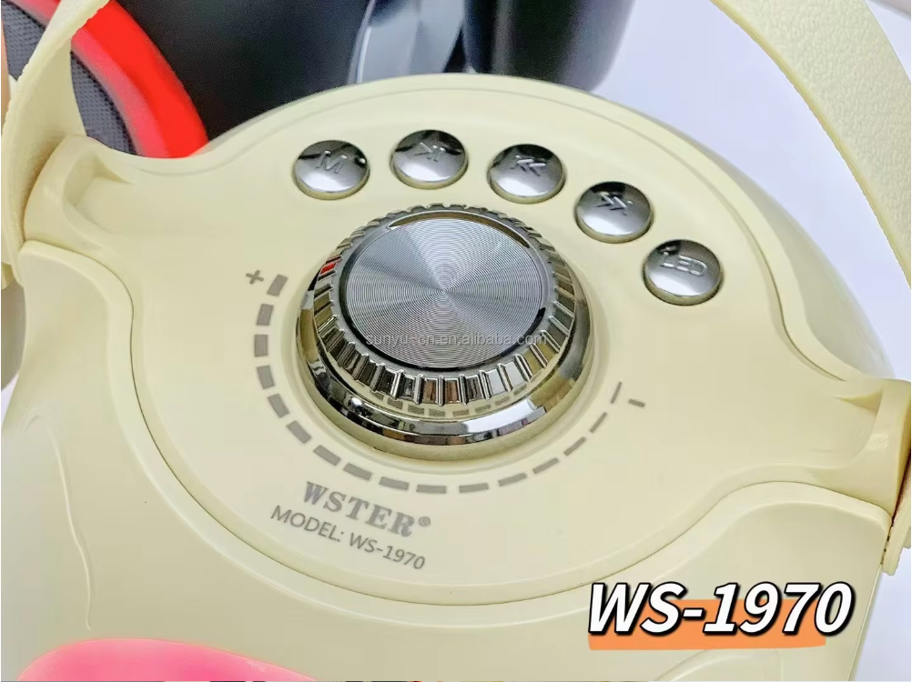 RGB Wireless Portable Party Speaker