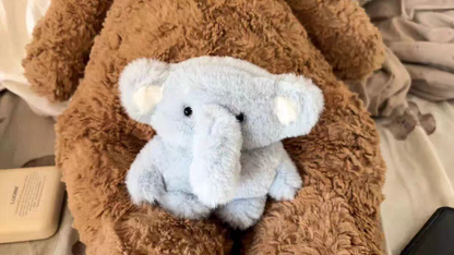 Elephant Plush AirPods Case