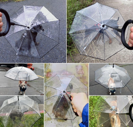 Clear Pet Umbrella Leash